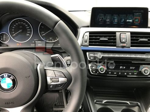 BMW PROFESSIONAL NBT EVO